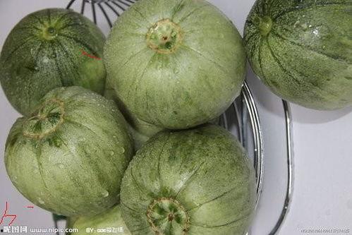 海南今日日本瓜价格,新鲜直供，品质优价实惠