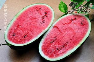 今日新鲜瓜,今日新鲜瓜品鉴记