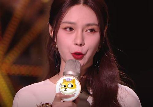 明星网红翻车原因分析图,原因分析图深度解读