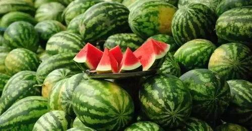 临海今日吃瓜事件真相揭秘,真相大白，还原事件始末