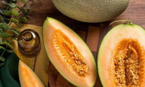 成都哈密瓜今日价,价格实惠抢购中！