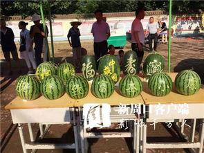 太康清集镇今日瓜价,新鲜上市，价格实惠