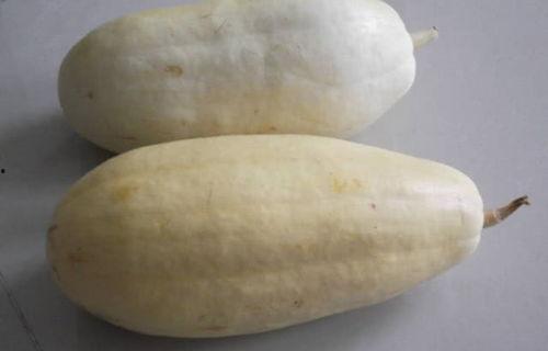 今日杏瓜种子价格,今日杏瓜种子价格行情一览