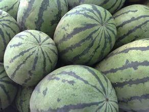 今日杏瓜种子价格,今日杏瓜种子价格行情一览