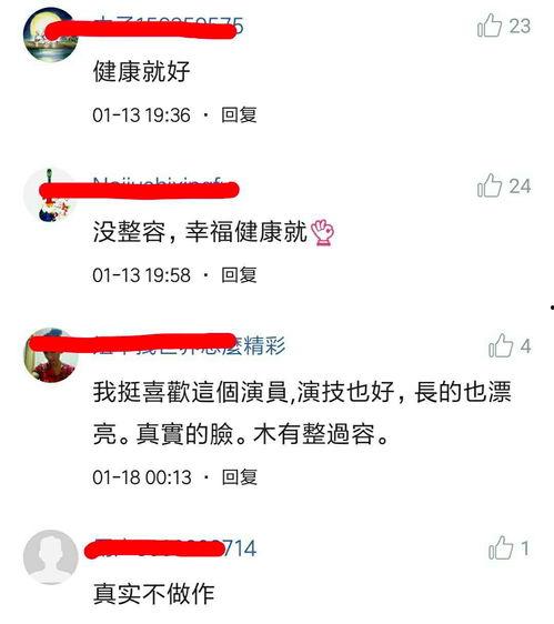 明星网红工作属性是什么,工作属性与影响力解析