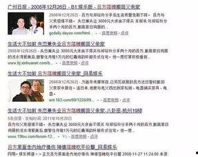 明星网红工作属性是什么,工作属性与影响力解析