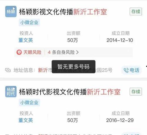 明星网红工作属性是什么,工作属性与影响力解析