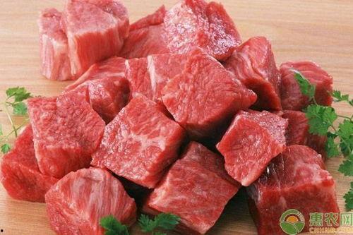 瓜州今日牛羊肉价格