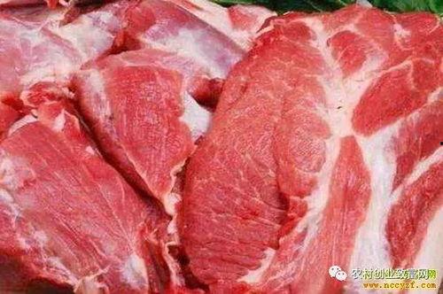 瓜州今日牛羊肉价格
