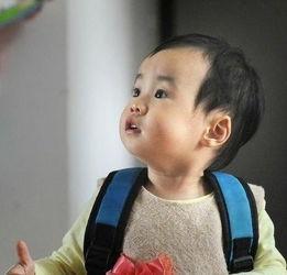 小明星网红小男孩,网红小男孩小明星的璀璨成长之路