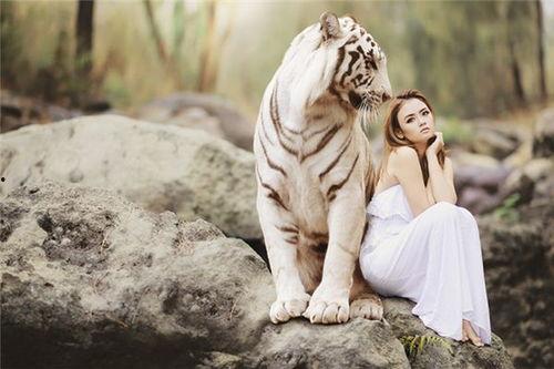 今日吃瓜老虎涧全集,老虎涧风云录，揭秘神秘事件全貌