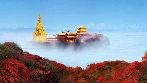 明星网红爬峨眉山,徒步登山展现毅力与风采