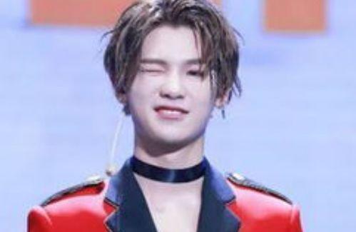 明星网红算什么职业呢,新时代的职业风向标