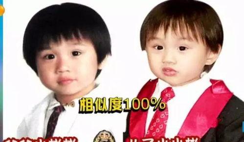 明星网红爸妈是谁啊,传承与荣耀的交织