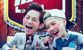 明星网红小孩综艺有哪些,盘点热门综艺中的明星网红小孩