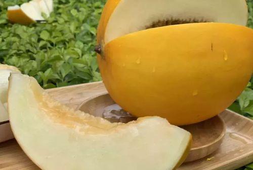 缅甸蜜瓜今日价格,新鲜上市，品质优价实惠