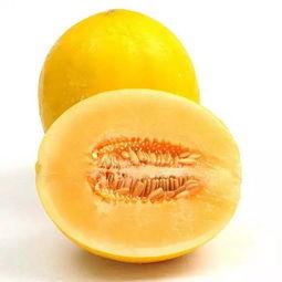 小蜜瓜今日价,新鲜上市，尽享夏日清凉美味