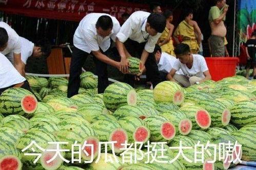 今日实锤瓜,揭秘娱乐圈惊天秘密