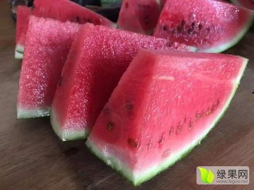 今日成都硒砂瓜价格,夏日消暑佳品备受青睐