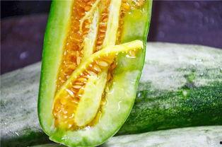 网红今日吃瓜,揭秘娱乐圈最新热点事件