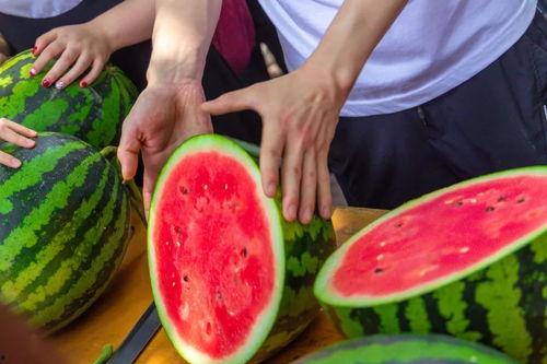 今日份吃瓜,娱乐圈新鲜事大盘点