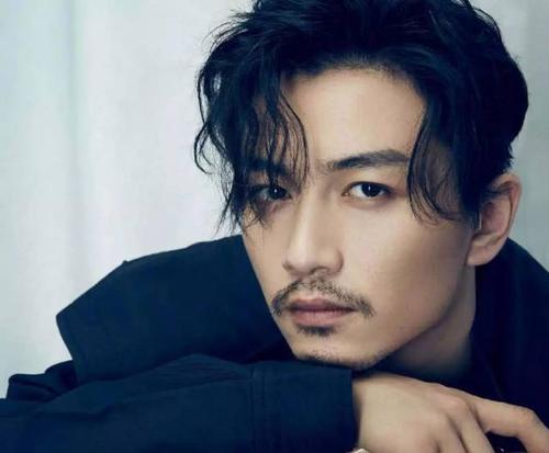 安徽合肥明星网红是谁,揭秘合肥明星网红的璀璨魅力”