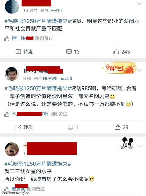 明星网红高额片酬有哪些,揭秘明星网红高额片酬背后的真相与影响