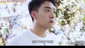 快手今日瓜,揭秘热门事件背后的真相