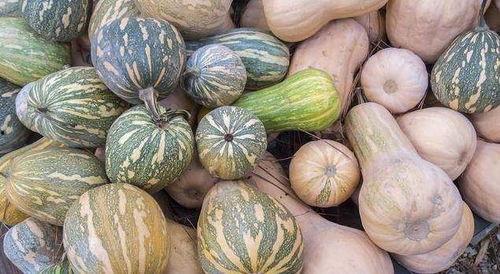 今日宜吃瓜主角,揭秘娱乐圈最新热点事件