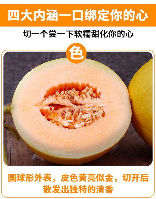 缅甸黄河蜜瓜今日行情,甜蜜价格波动，市场供需动态解析