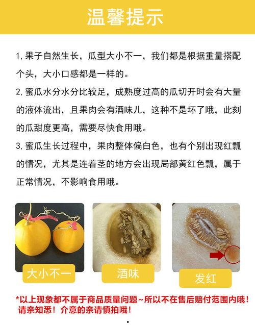 缅甸黄河蜜瓜今日行情,甜蜜价格波动，市场供需动态解析