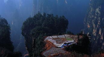 张家界明星网红有谁,打卡胜地的人气之星