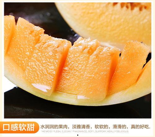 黄河蜜瓜今日价格表,市场行情一览