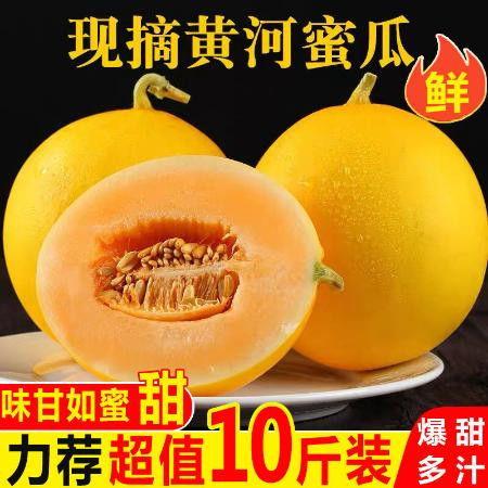 黄河蜜瓜今日价格表,市场行情一览
