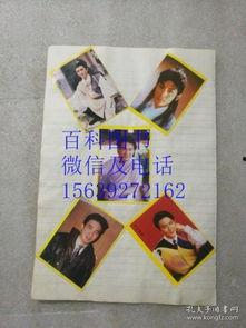 明星网红墙贴图片高清,明星同款高清壁纸，打造时尚家居新风尚