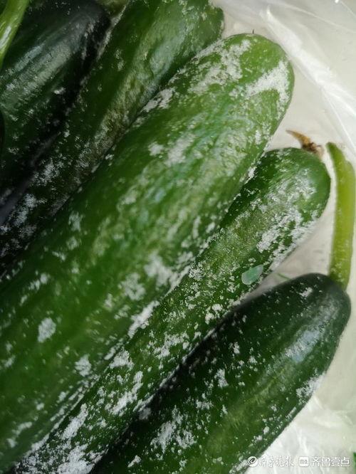 今日份瓜来了是