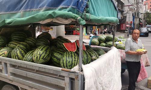 兰州今日瓜价最新消息是多少,今日瓜价行情一览”