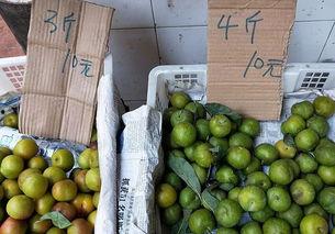 白瓜今日零售价,新鲜直供，价格亲民