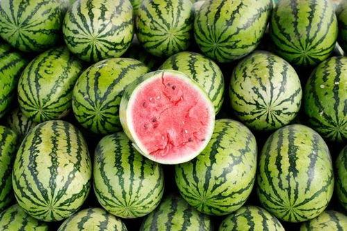 吃瓜今日吃瓜必吃大瓜,吃瓜界的重磅大瓜来袭！