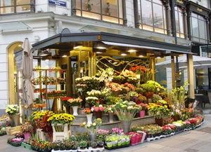 今日吃瓜-唐山花店,今日吃瓜，花艺生活新风尚