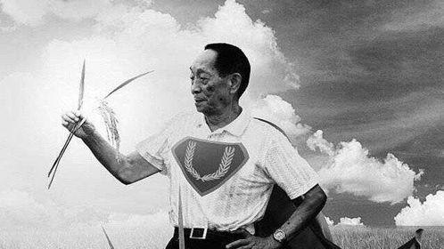 明星网红看袁隆平直播,明星网红齐聚，共话粮食安全与农业未来