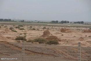 瓜州到柳园今日信息,瓜州至柳园今日实时交通与天气资讯概览