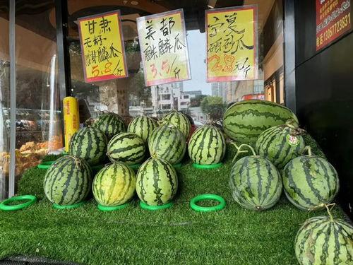 甘肃麒麟瓜今日价格,价格行情一览”