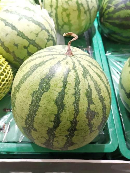 今日大瓜51吃瓜,揭秘娱乐圈最新热点，吃瓜群众齐狂欢