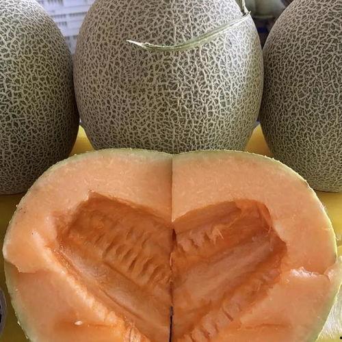 哈密瓜今日价钱行情,价格波动解析