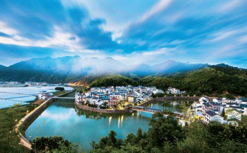 浙江明星网红聚集地