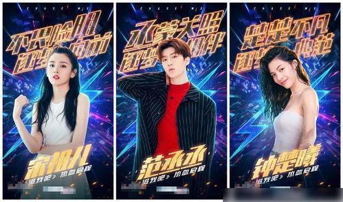 浙江明星网红聚集地