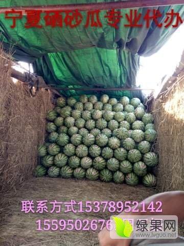 宁夏硒砂瓜今日价格,今日价格行情一览，品质之选受热捧”