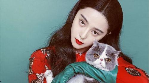 明星网红用的什么香水,香氛背后的时尚密码