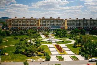 乌兰浩特明星网红,闪耀草原的璀璨之星